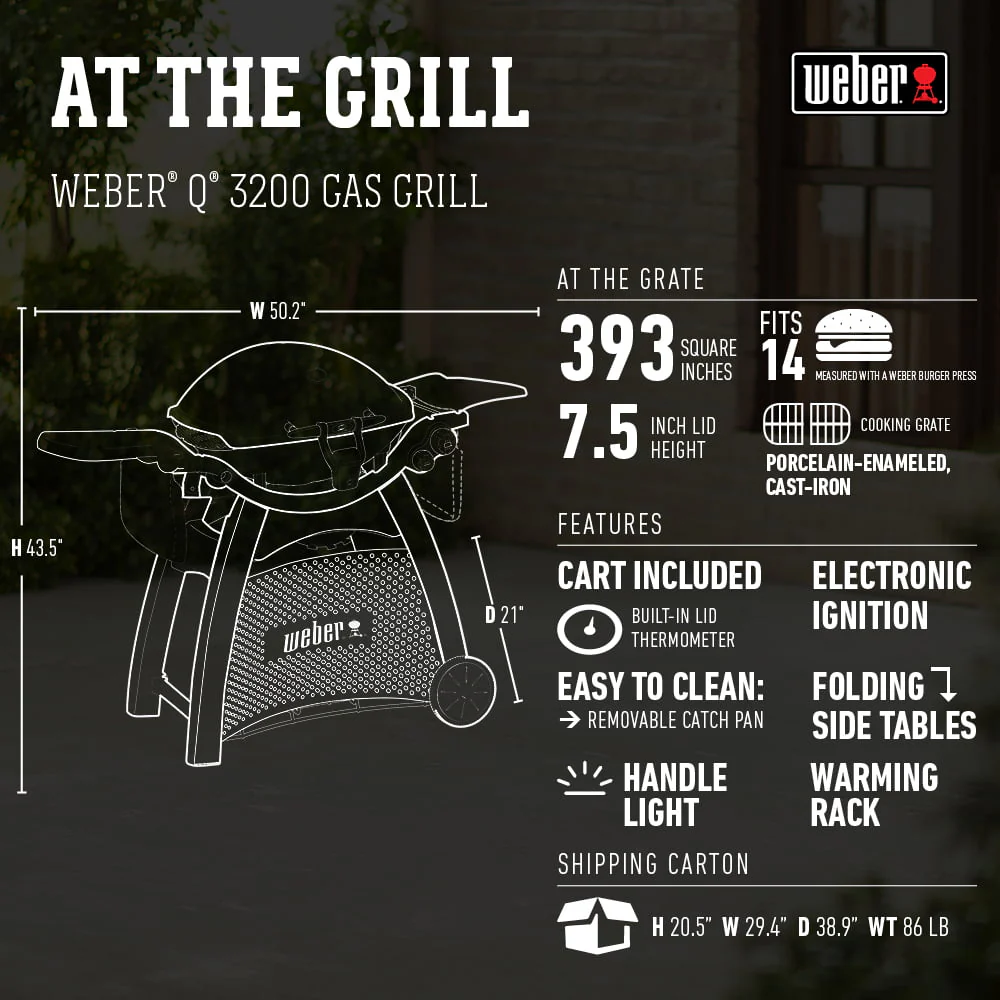 Q 3200 Liquid Propane Gas Grill in Titanium